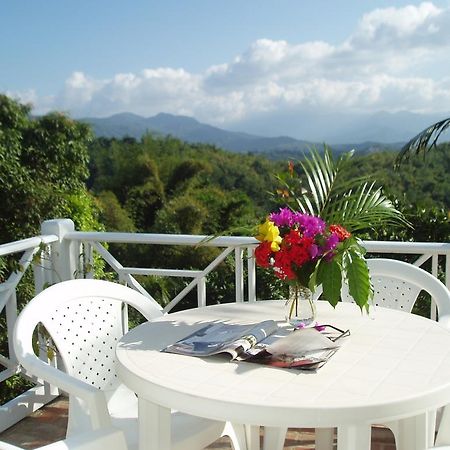 Tranquility Villa Port Antonio Exterior foto